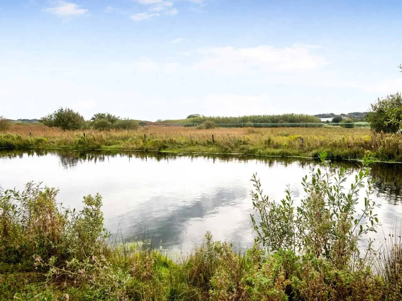 Billede 2 - Nedlagt landbrug 7 min fra Aalborg