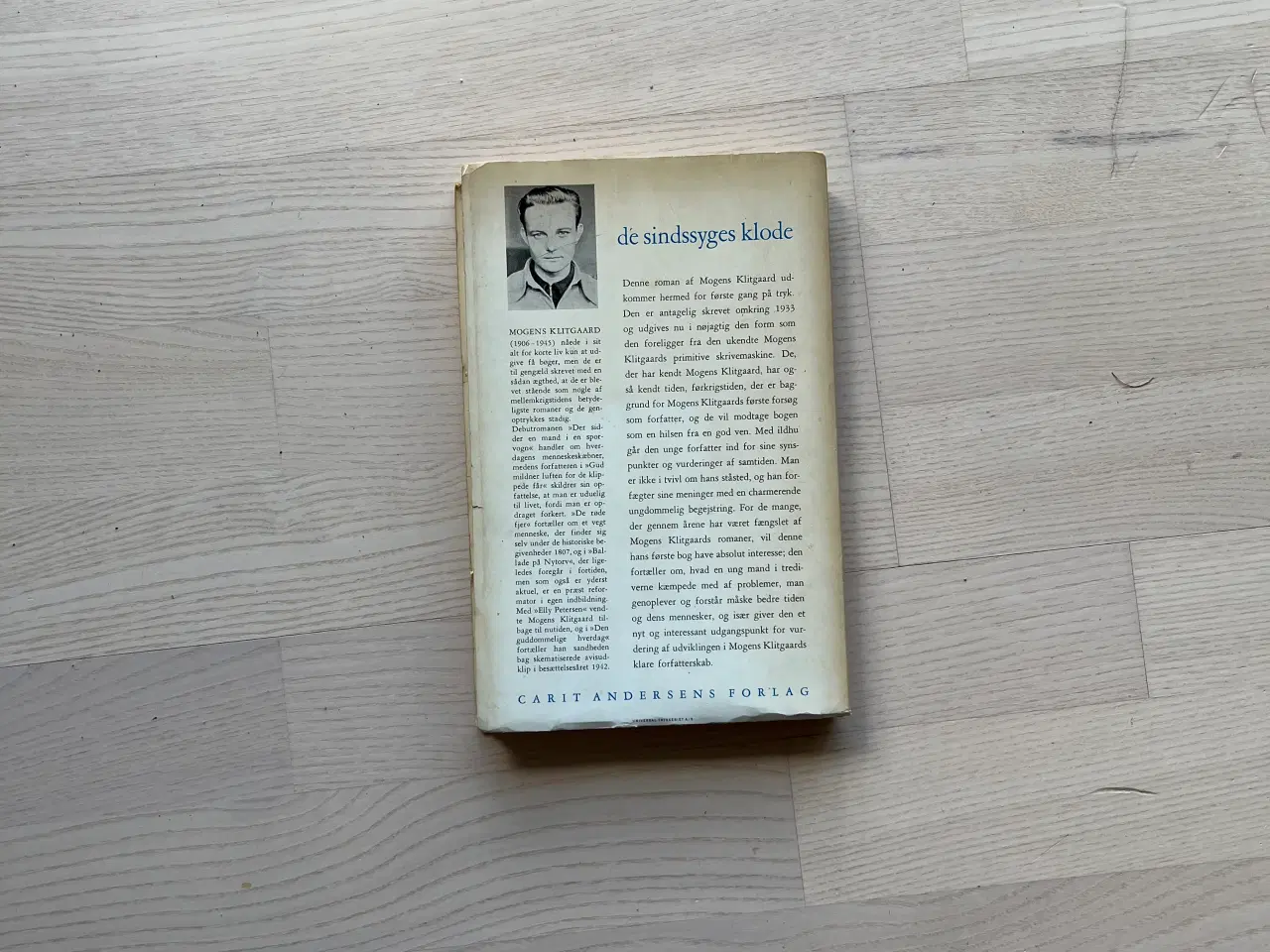 Billede 2 - De sindssyges klode af Mogens Klitgaard