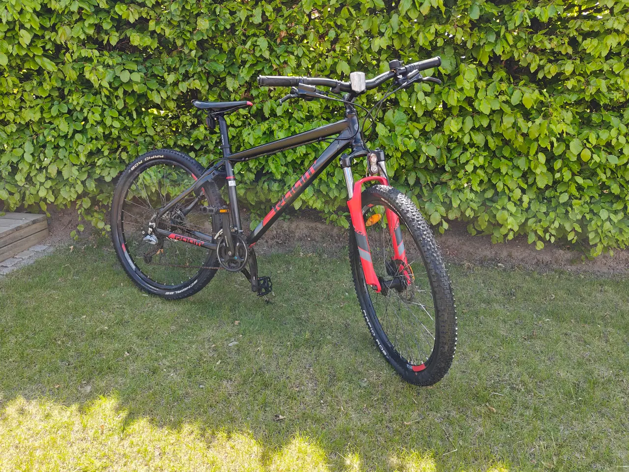 Billede 3 - Raam CR 44cm junior mountainbike
