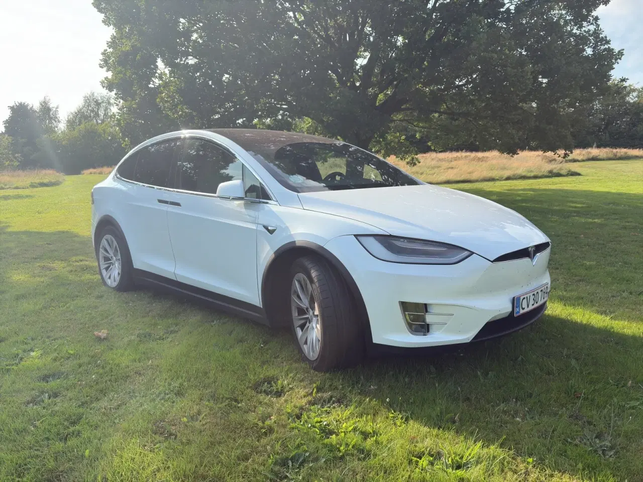 Billede 4 - Tesla Model X  Long Range AWD