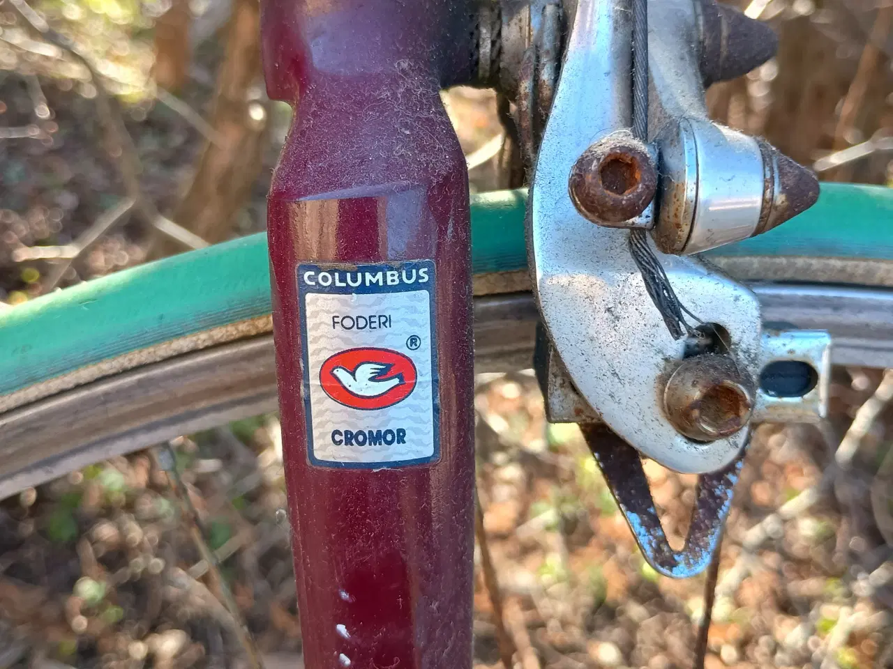 Billede 8 - Columbus ramme med Campagnolo udstyr.