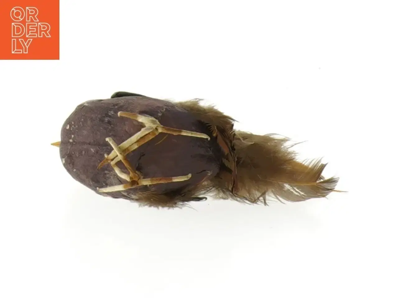 Billede 2 - Fugl med fjerdekoration fra Fenjal