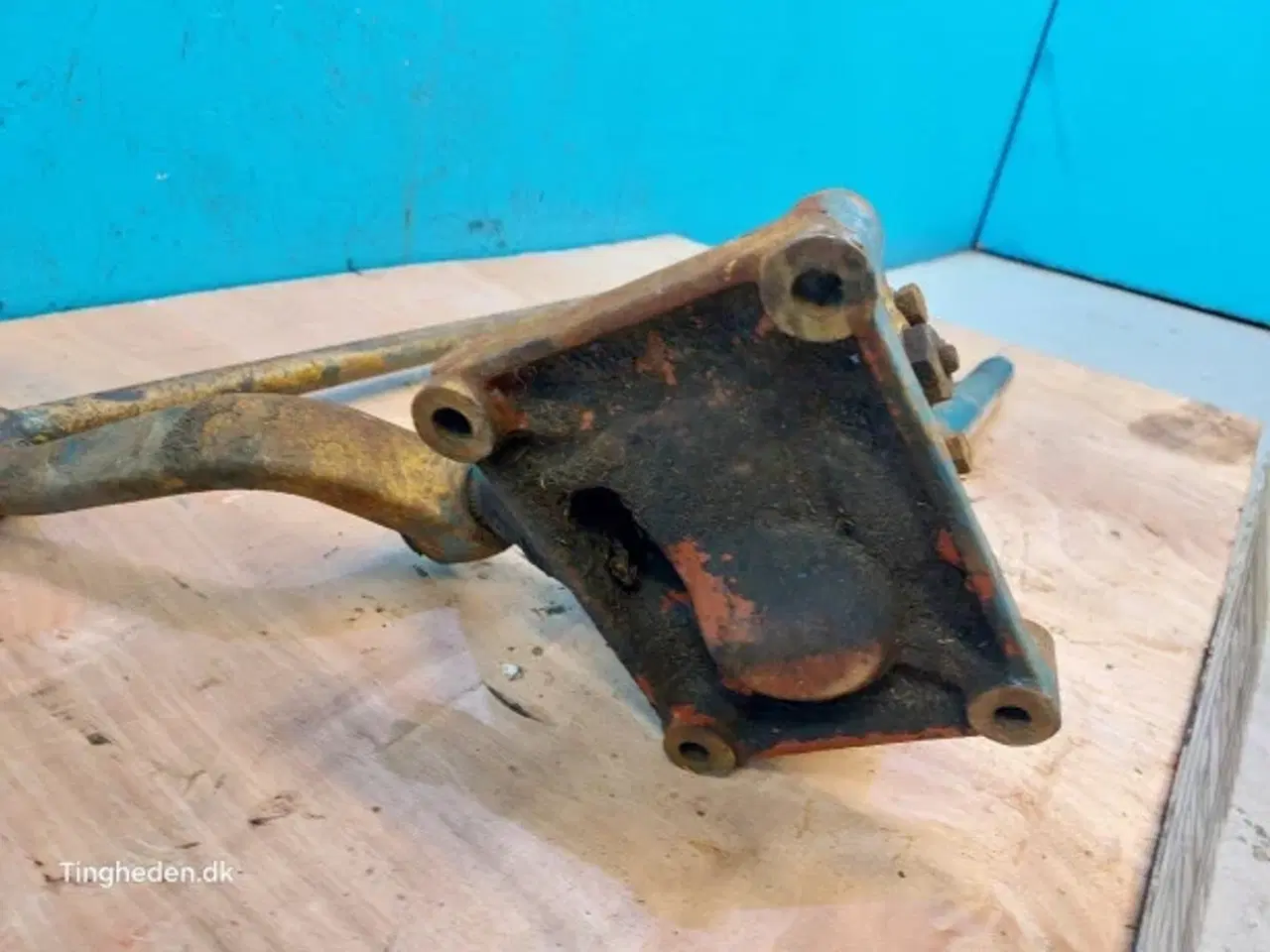 Billede 5 - Fiat Ratstamme