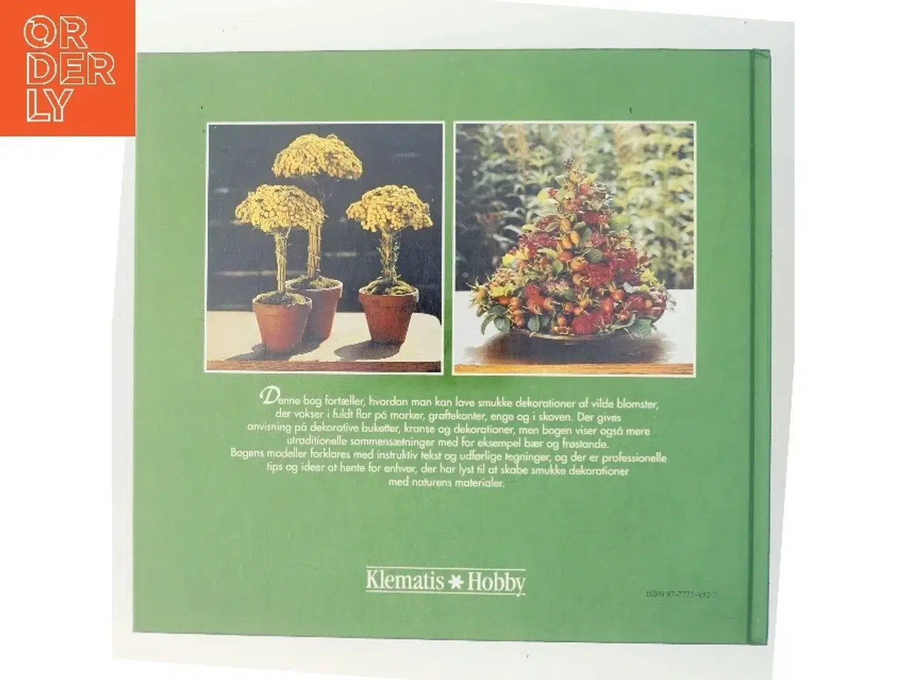 Billede 3 - Pynt med Vilde Blomster & andre ting af Hanne Ploug (Bog)