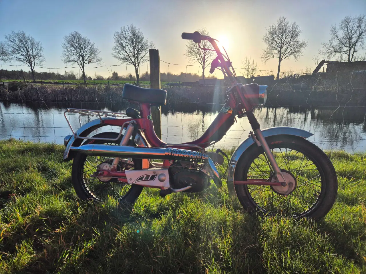 Billede 2 - Flot nyreneveret Monark