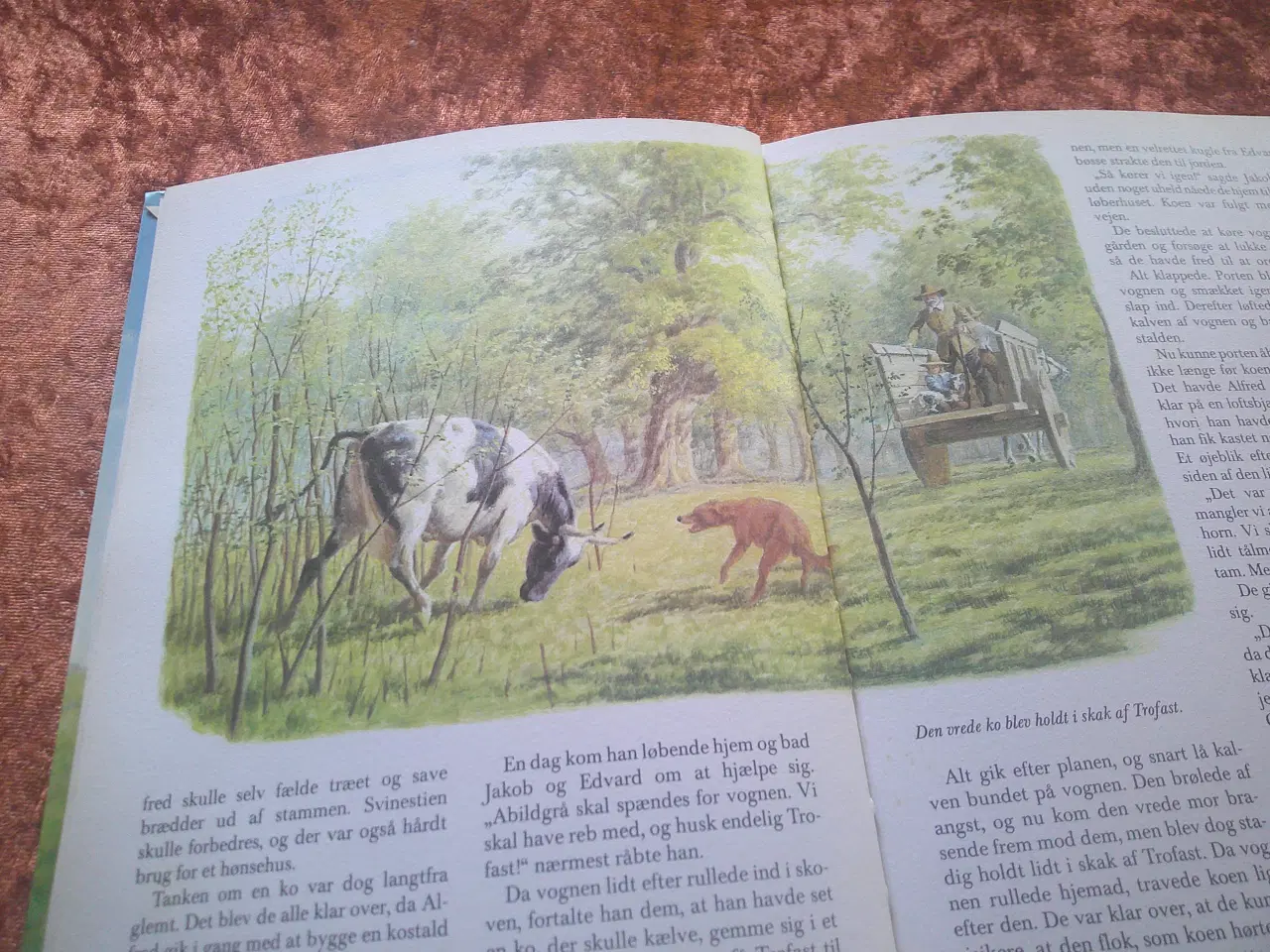 Billede 3 - Børnene i Nyskoven, F. Marryat