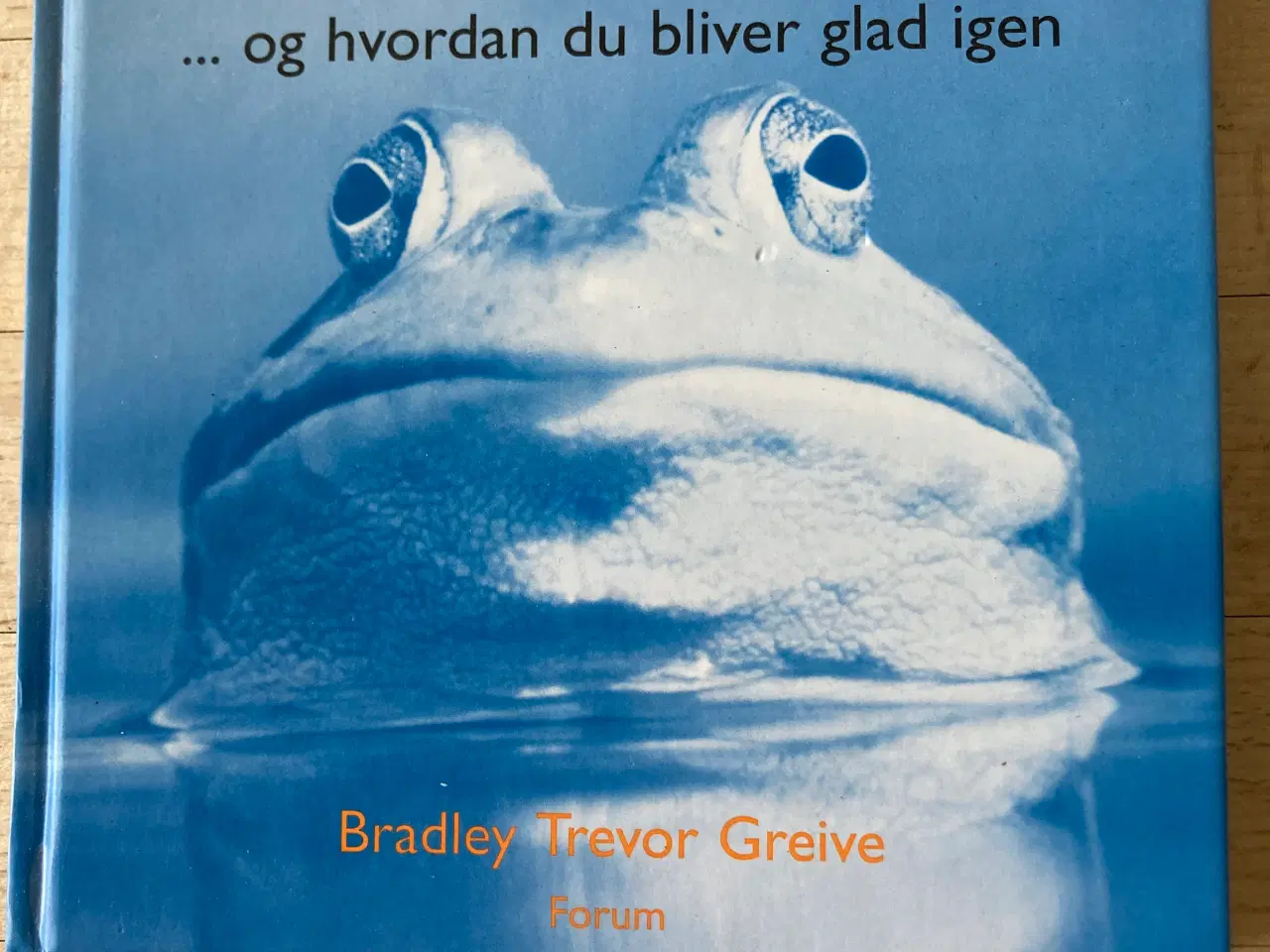 Billede 1 - En dårlig dag - og hvordan du bliver glad igen