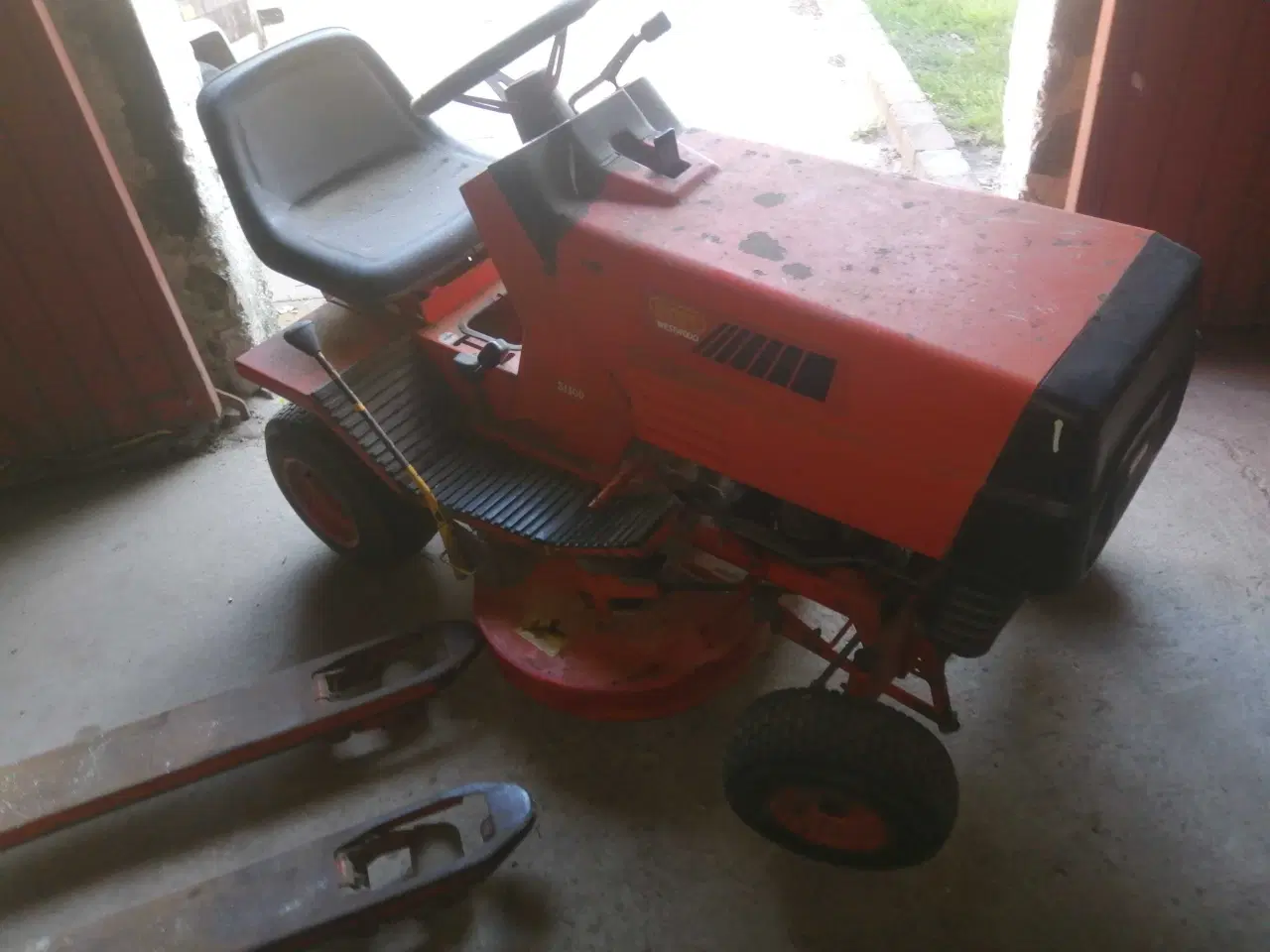 Billede 10 - Westwood Ginge. 