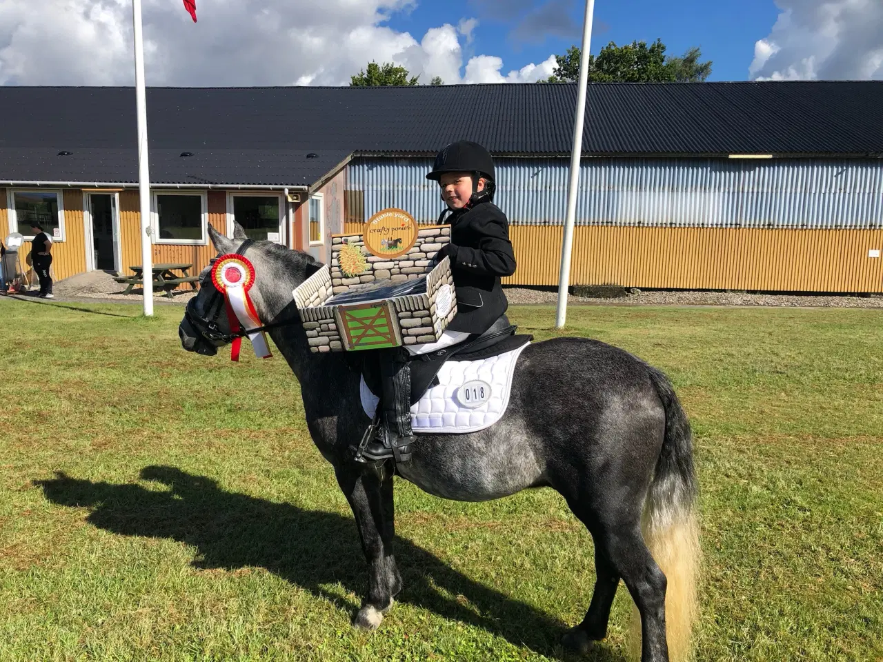 Billede 2 - Jake LF – 6 års Dartmoor vallak (ca. 126 cm)