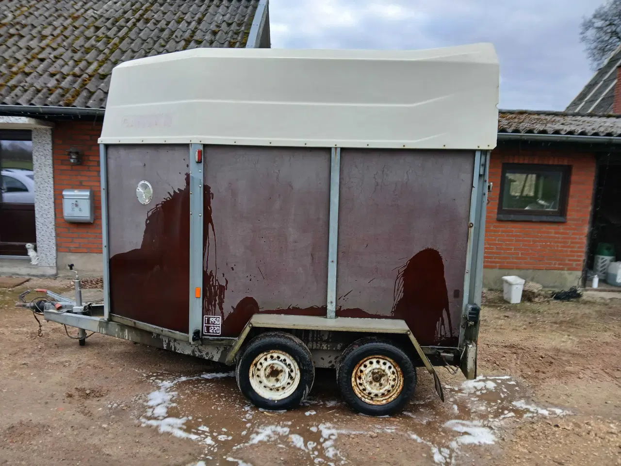 Billede 3 - Gaupen hestetrailer (2 hestes)