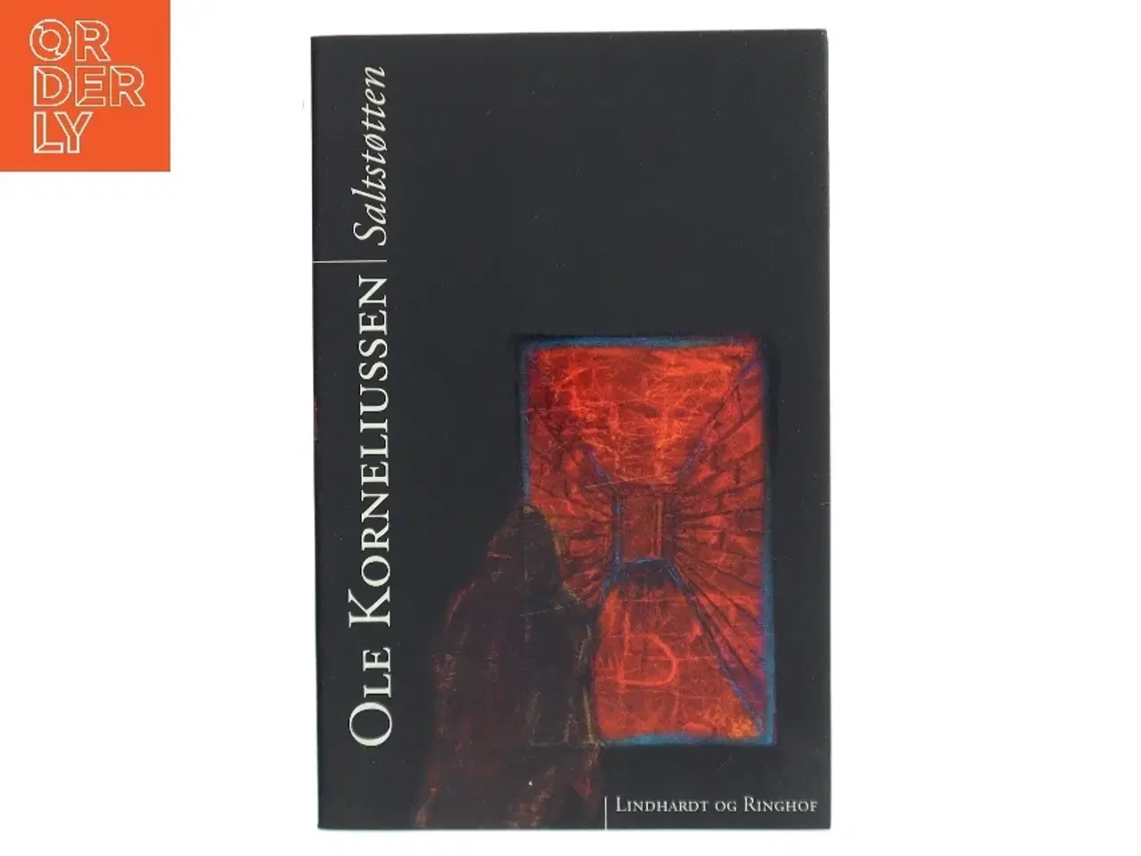 Billede 1 - Saltstøtten : roman af Ole Korneliussen (Bog)