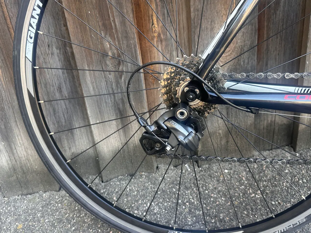 Billede 5 - Carbon GIANT 55 cm 