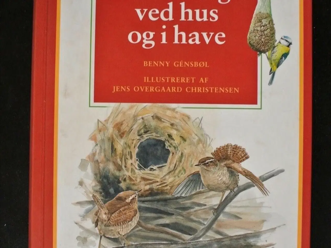 Billede 1 - danske fugle ved hus og i have, Af benny gensbøl. 