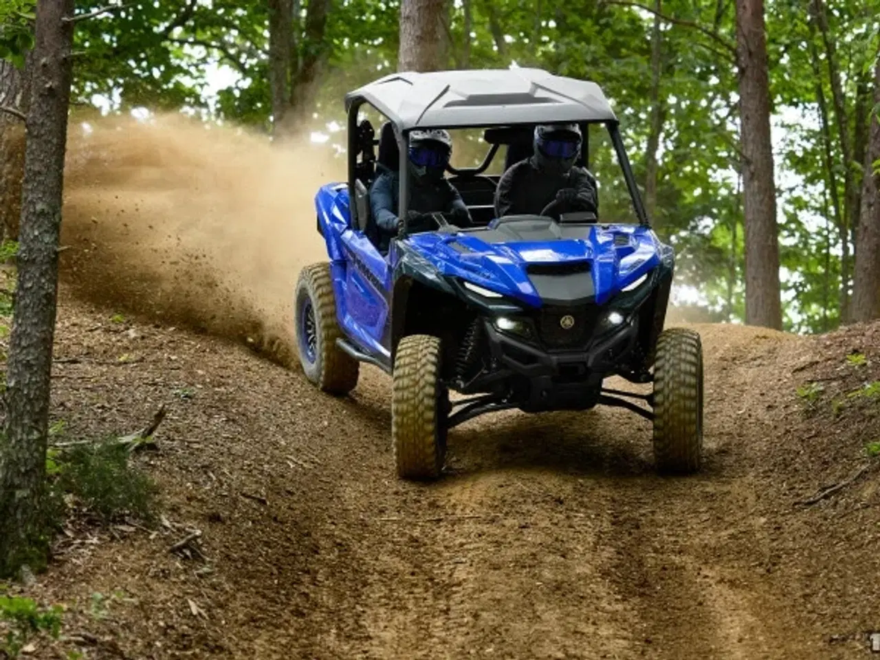 Billede 2 - Yamaha Wolverine RMAX2 1000 Sport