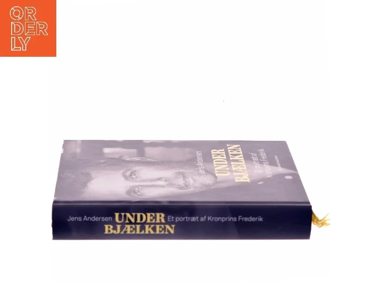 Billede 2 - Under bjælken : et portræt af Kronprins Frederik af Jens Andersen (f. 1955) (Bog)