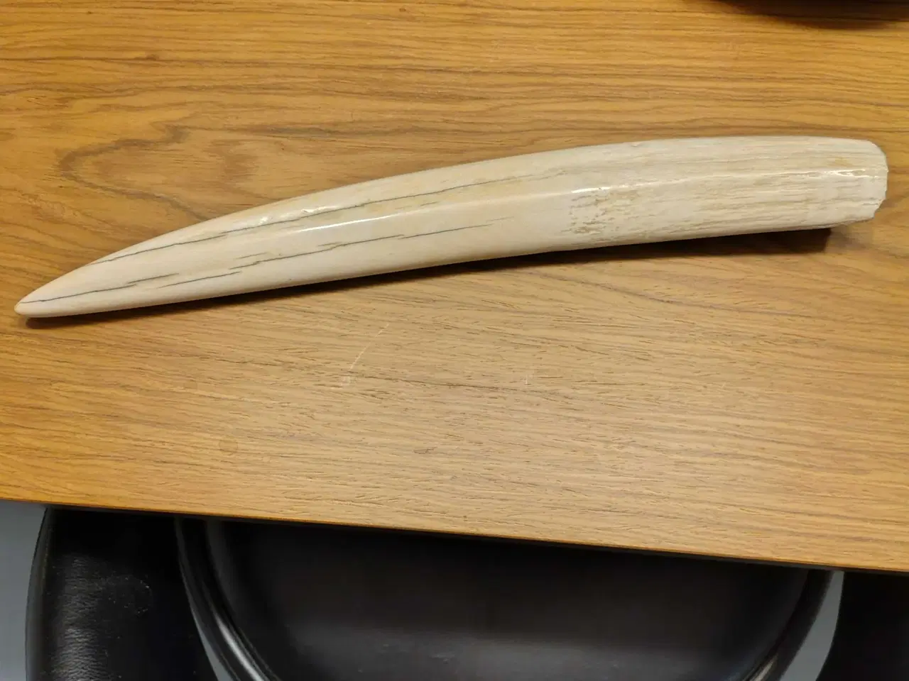 Billede 1 - Hvalros tand 