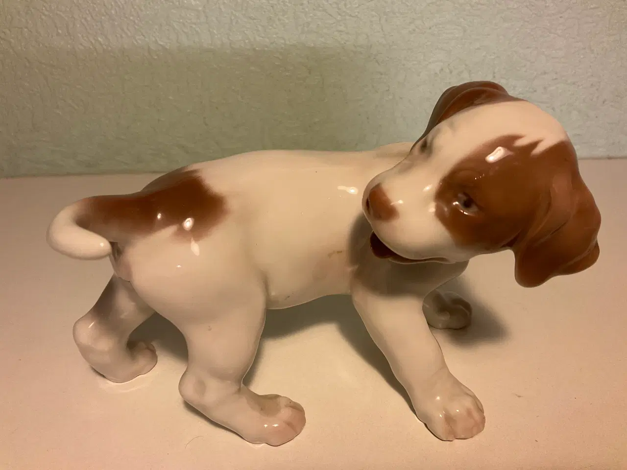 Billede 1 - B&G Pointerhvalp