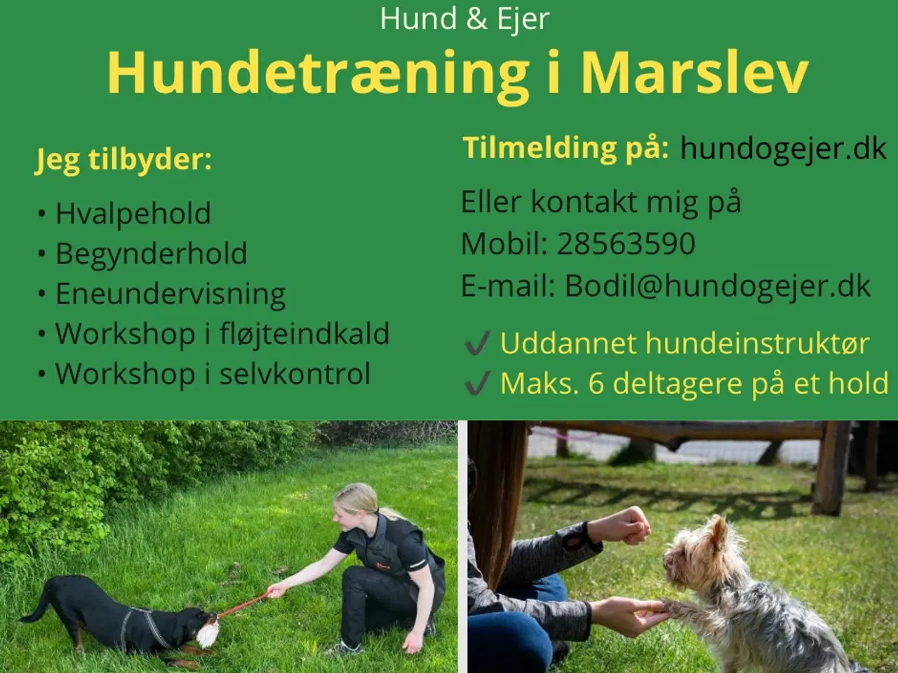 Billede 1 - Hundetræning i Marslev 5290