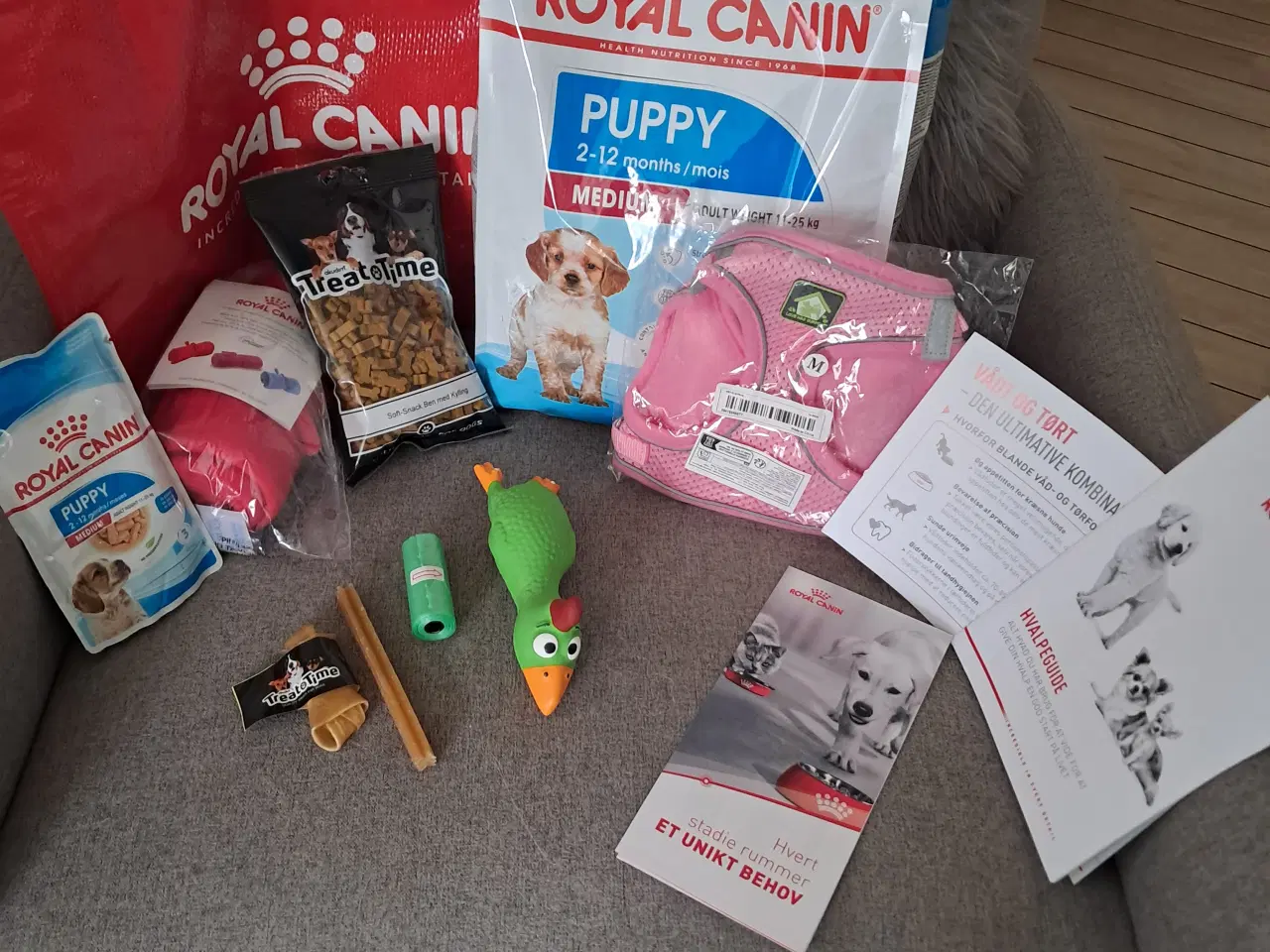 Billede 3 - Sidste coton/malteser tæve