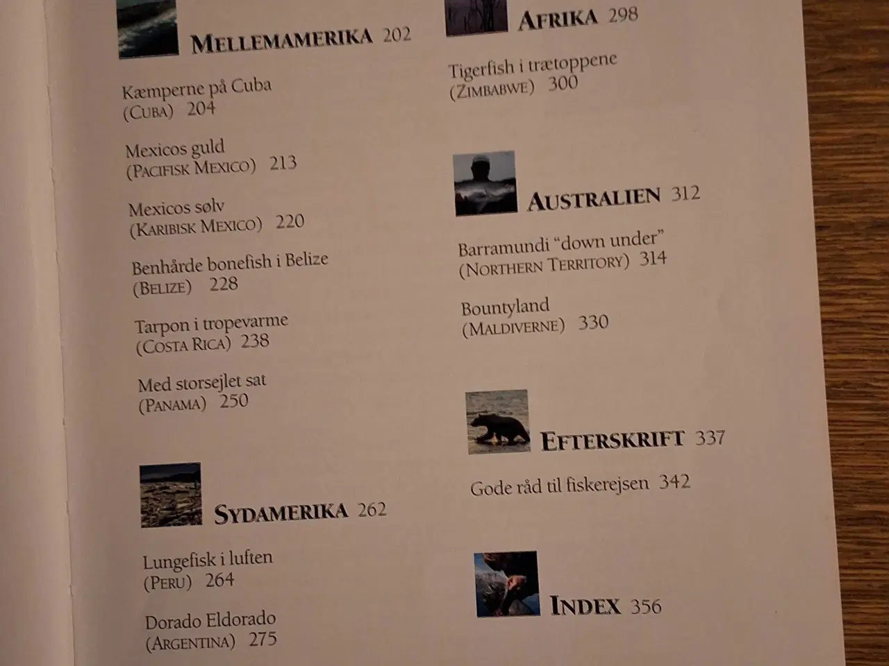 Billede 4 - FISKEREJSER TIL FJERNE LANDE,  af STEEN ULNITS 