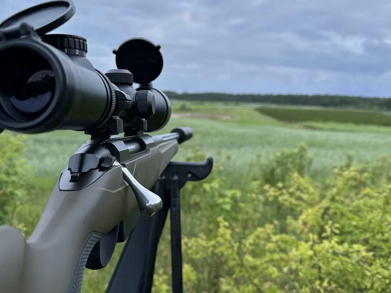 Billede 3 - Tikka T3X - Jaktia Edition 