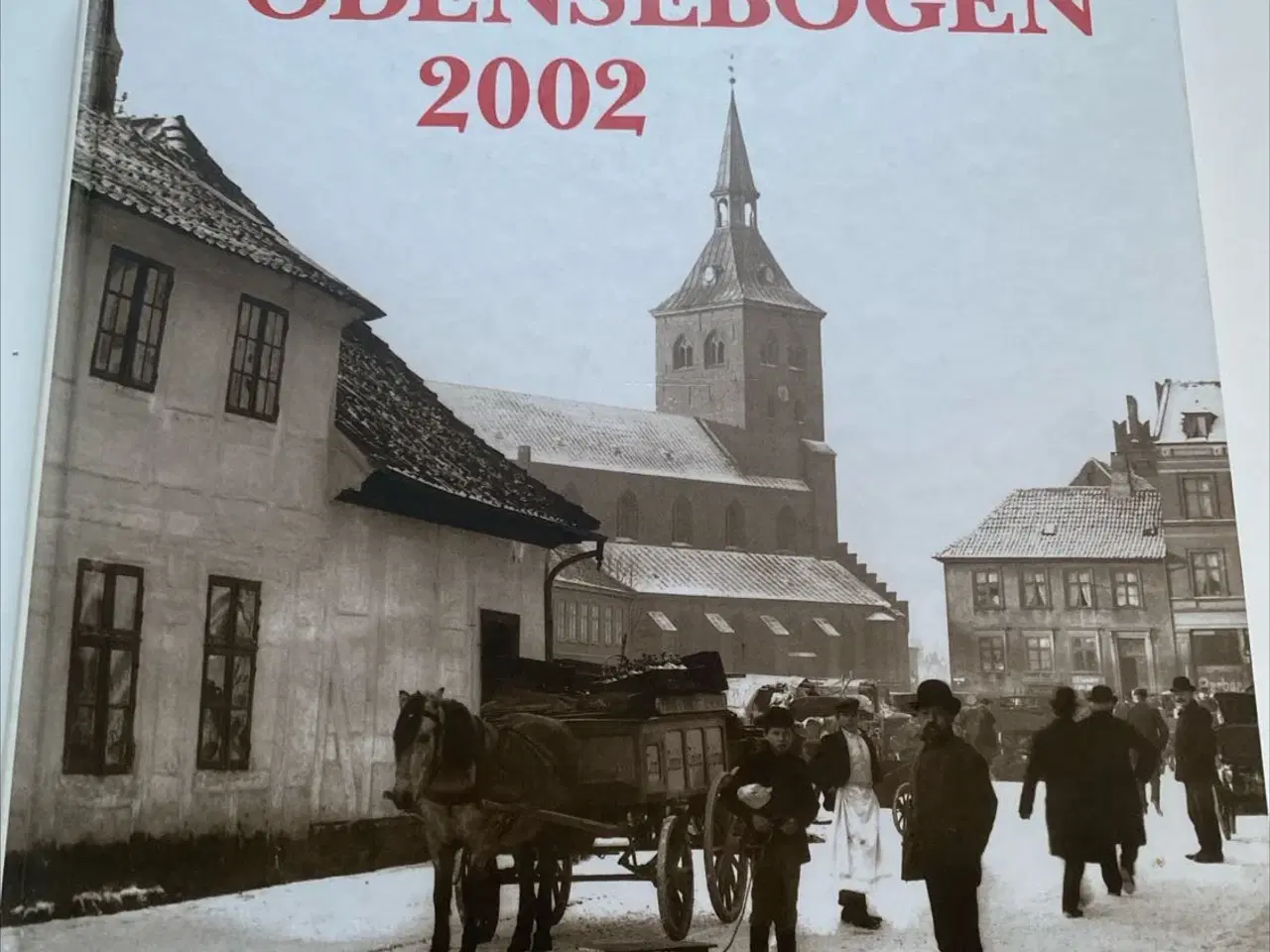 Billede 1 - ODENSEBOGEN 2002