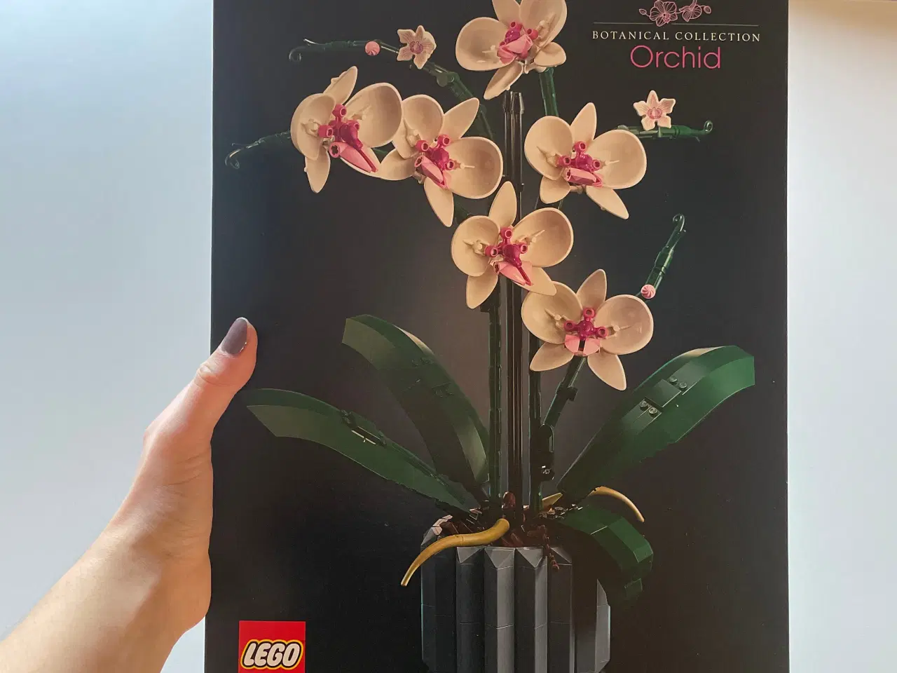 Billede 1 - Lego Orchid - 10311