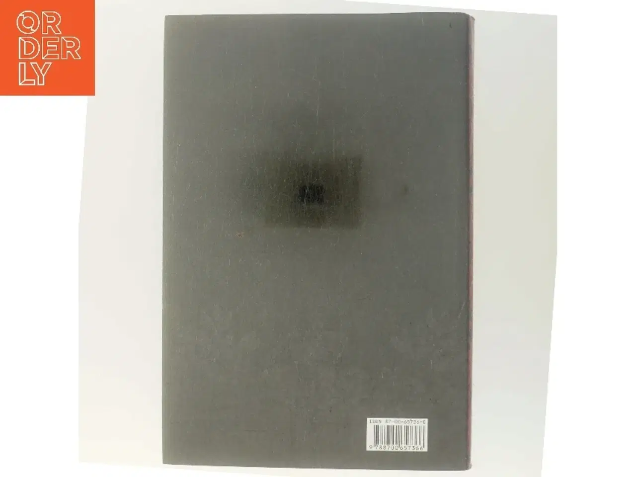 Billede 3 - Jomfrudronningen af Susan Kay (Bog)