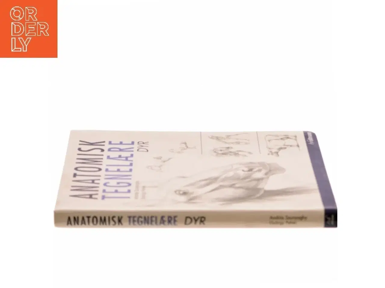 Billede 2 - Anatomisk tegnelære : Dyr af Gyrgy Fehér (Bog)