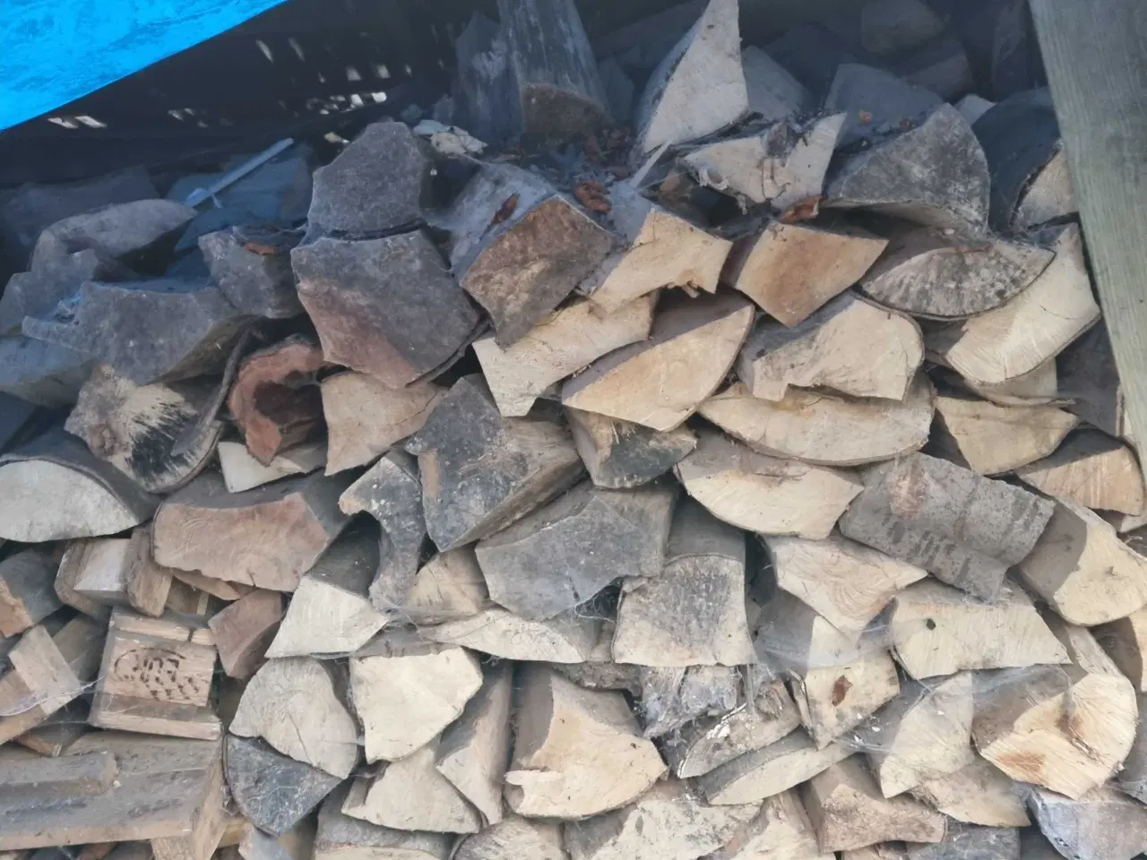 Billede 2 - Tørt bøgebrænde 