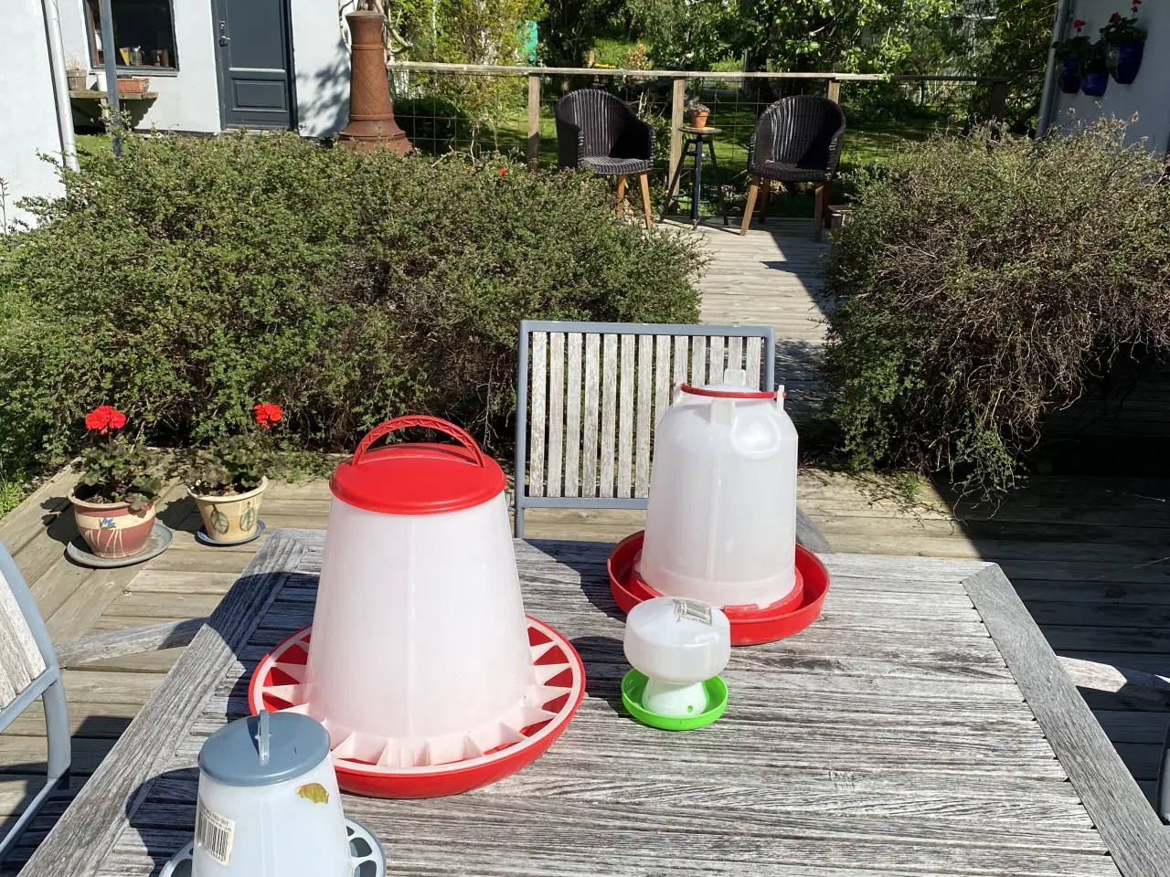 Billede 2 - Foder og vand beholdere
