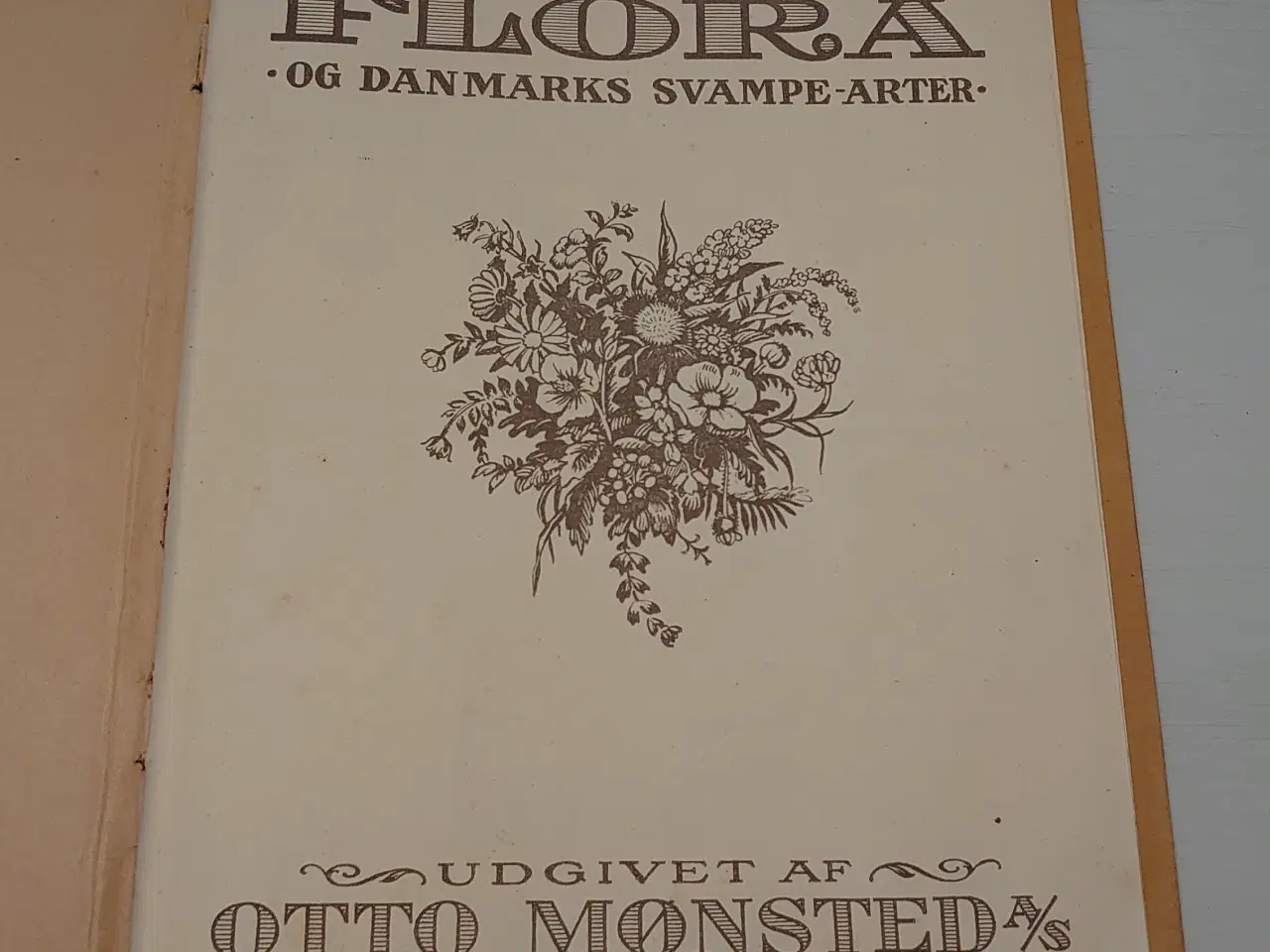 Billede 2 - Danmarks Flora og Danmarks  Svampe-arter. Mønsted.