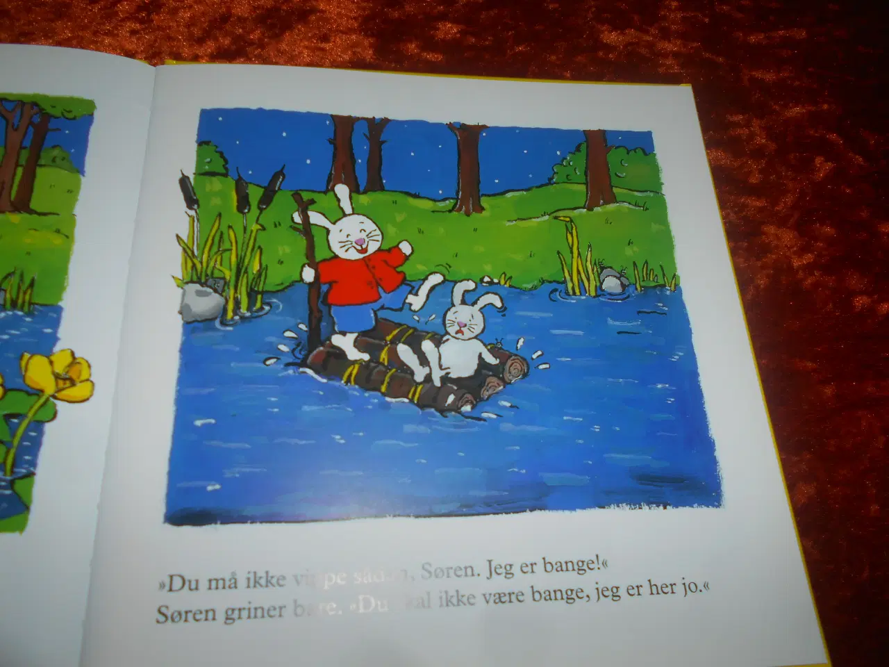 Billede 2 - Søren er en helt, Francine Oomen