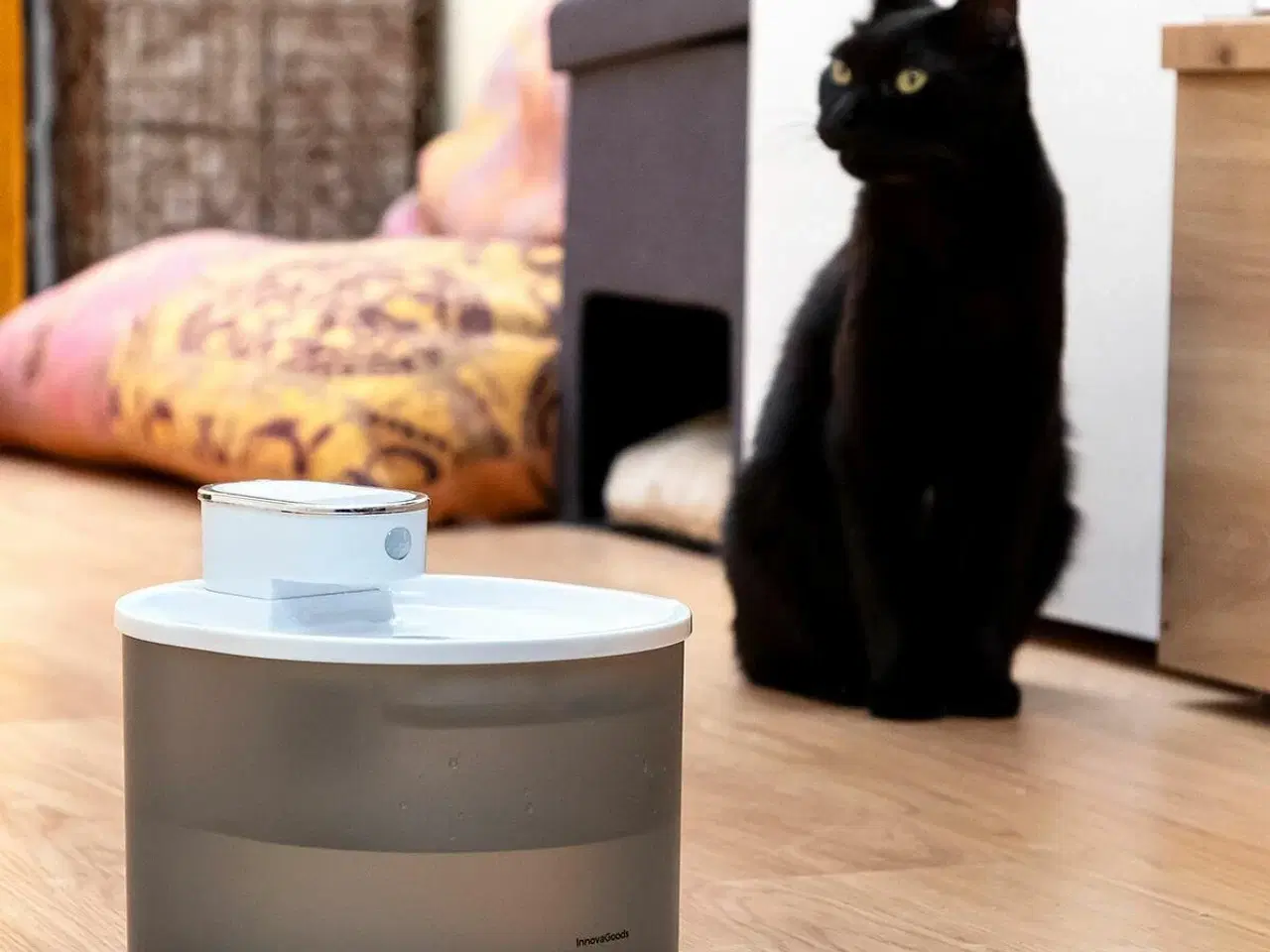 Billede 7 - Genopladelig drikkefontæne til katte med sensor Refopet InnovaGoods