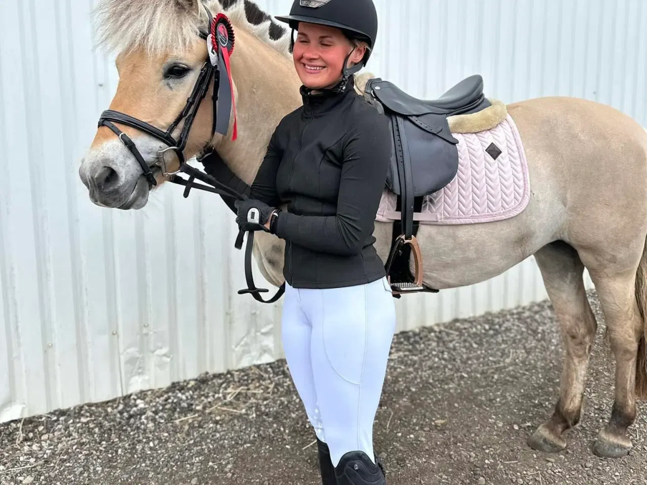 Billede 2 - Pony leder efter part! 