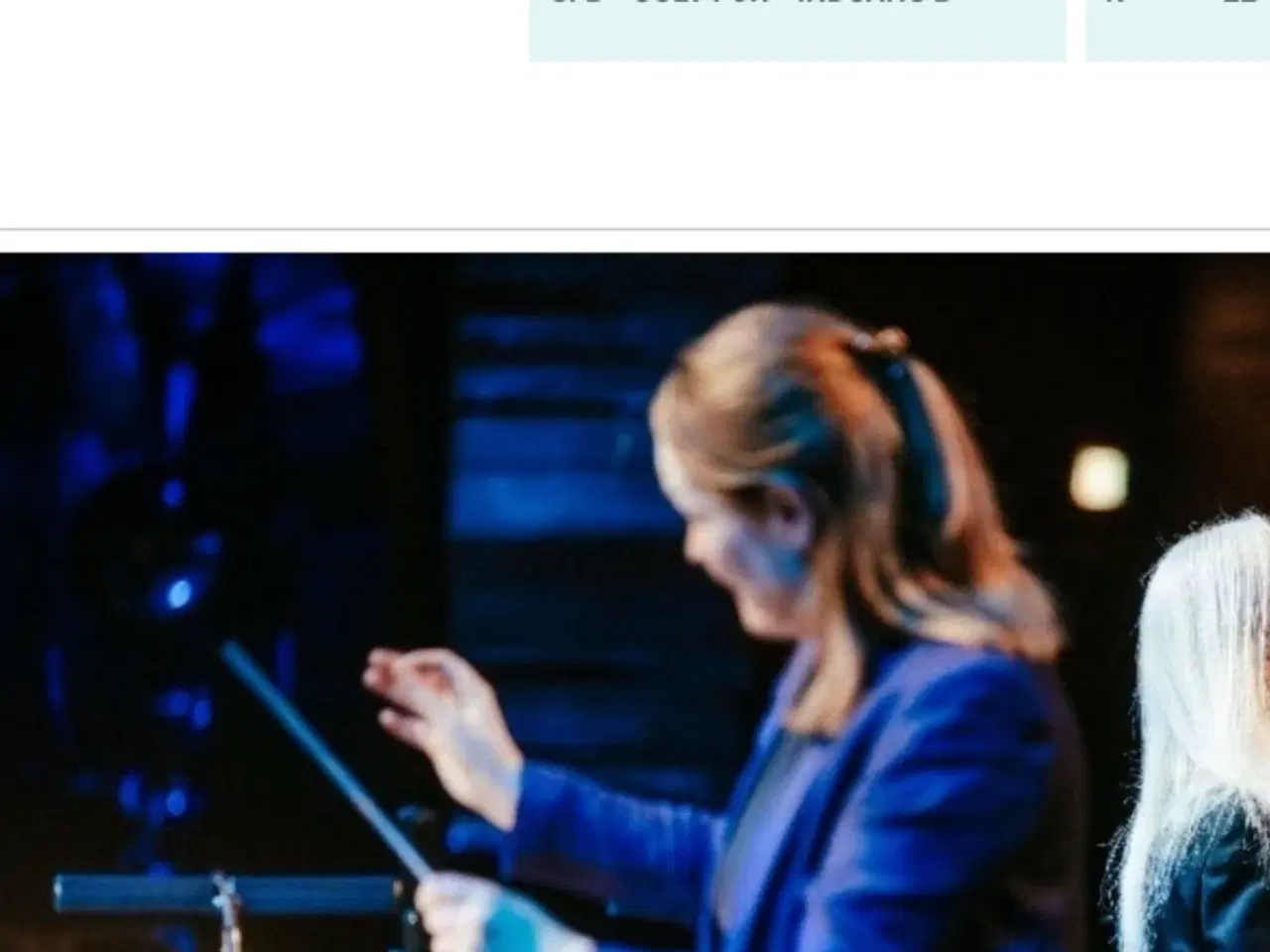 Billede 2 - Billetter 2 stk Anne Linnet/ Underholdningsorkeste