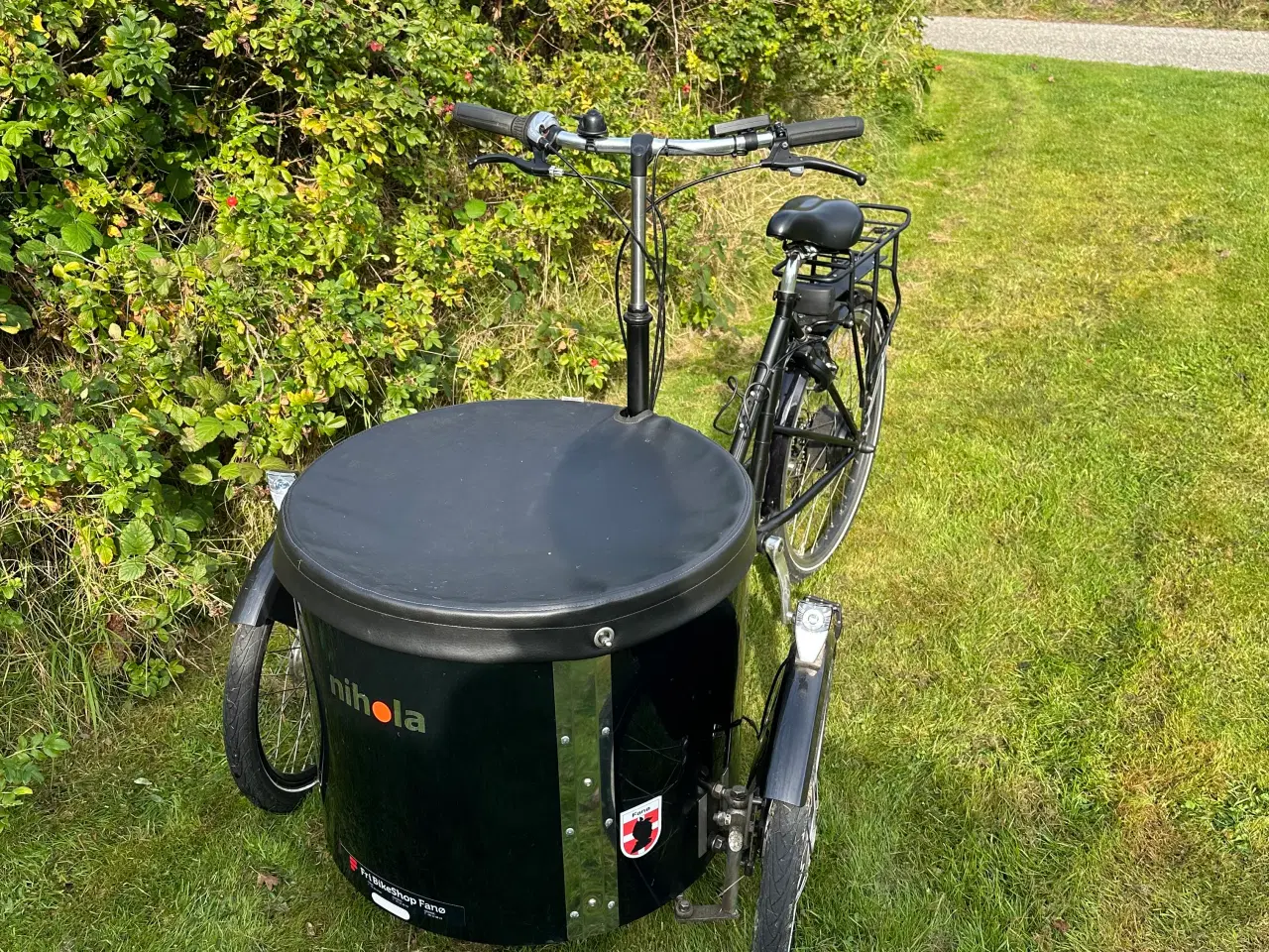 Billede 5 - NIHOLA Low El ladcykel 