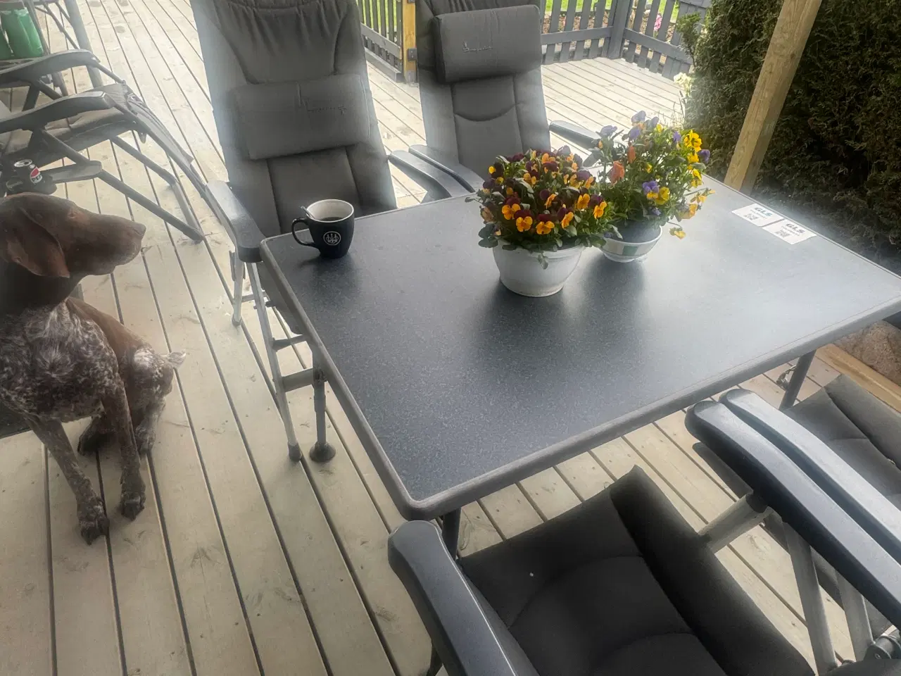 Billede 1 - Isabella Thor 