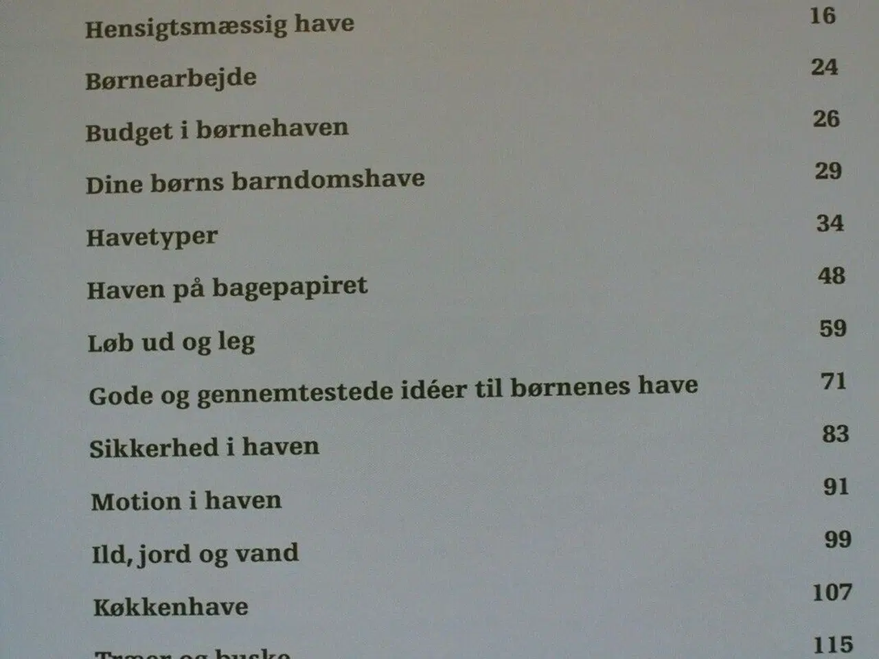 Billede 2 - barndommens have - sådan skaber du en god have til