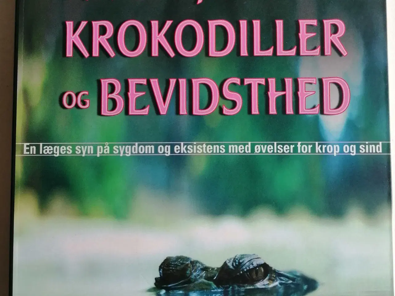 Billede 1 - Kræft, krokodiller og bevidsthed