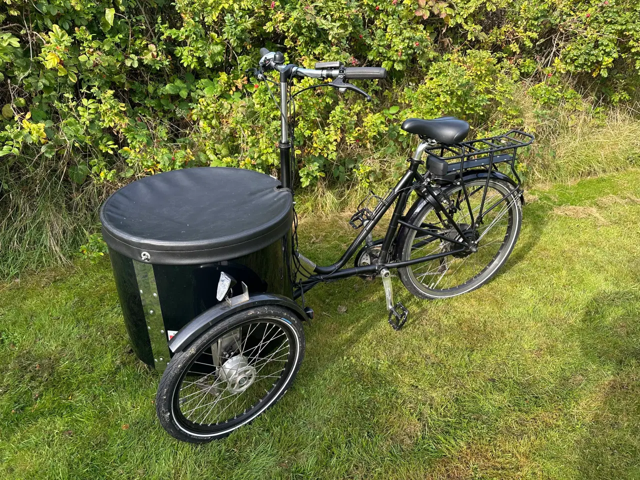 Billede 1 - NIHOLA Low El ladcykel 