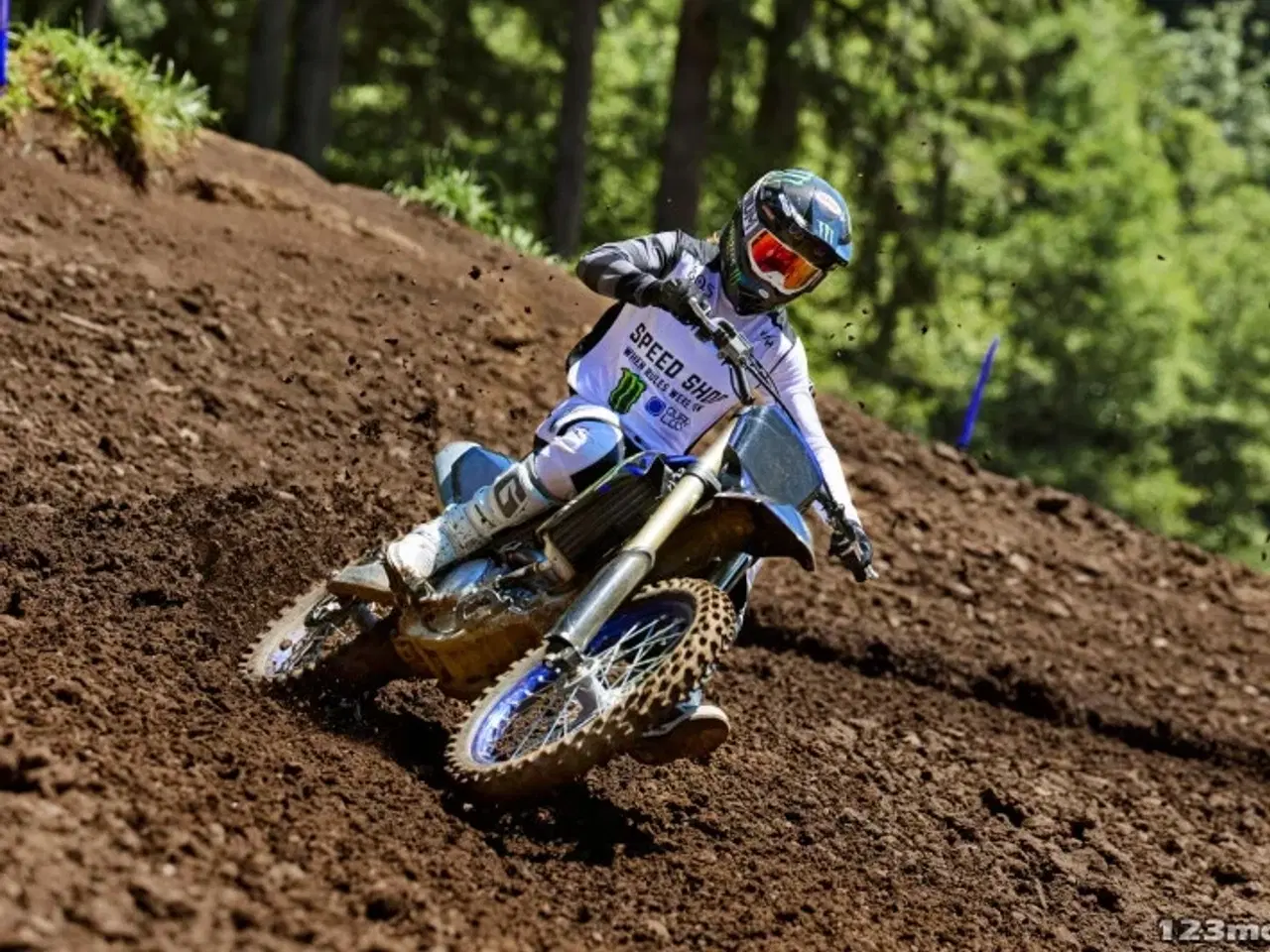 Billede 7 - Yamaha YZ 250 F Monster Energy Yamaha Racing Edition