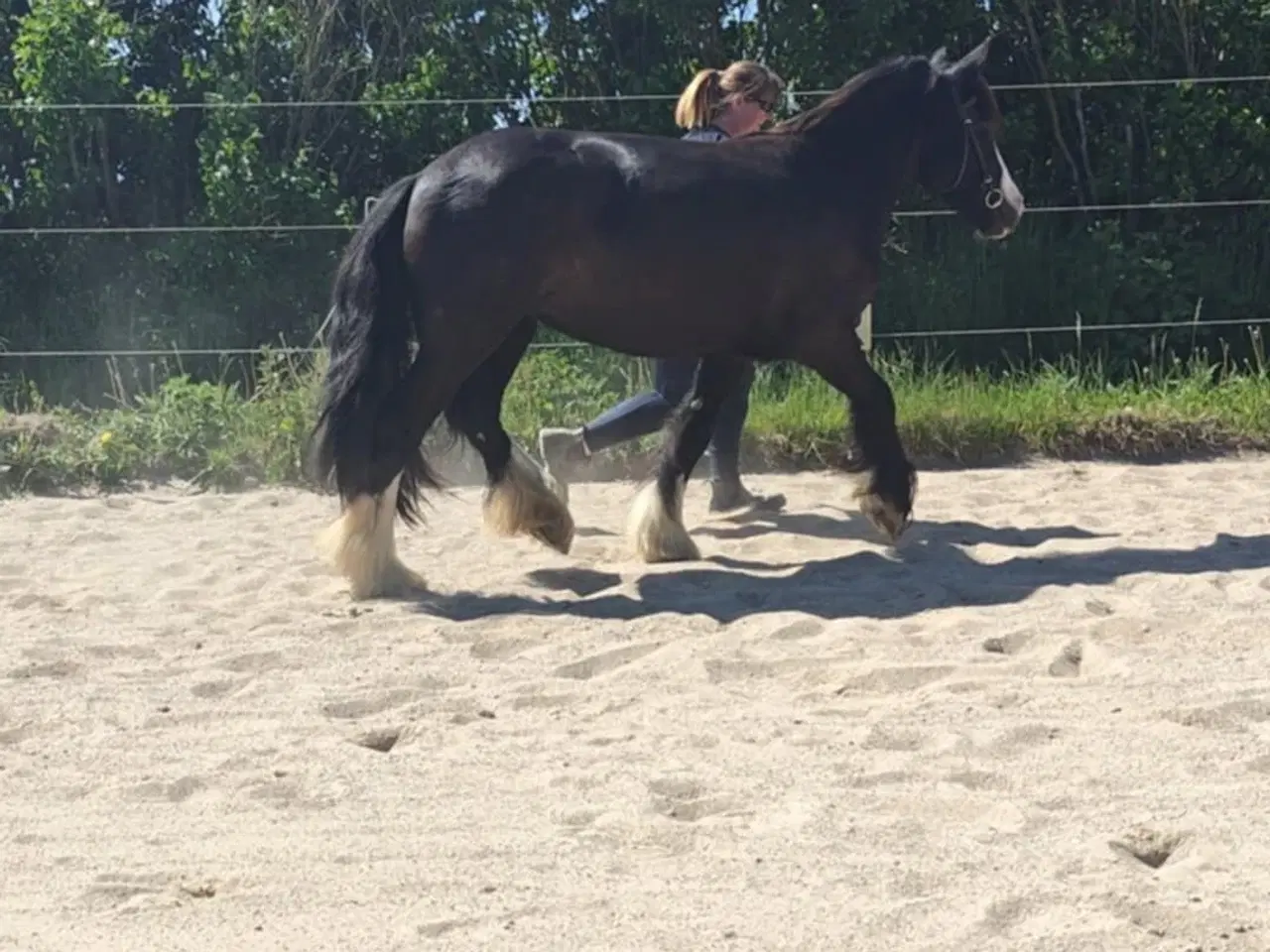 Billede 2 - Tinker hoppe 