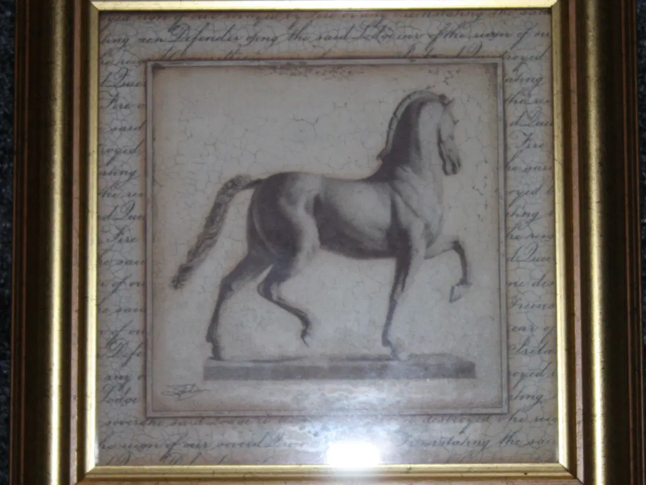 Billede 1 - Billede med hest