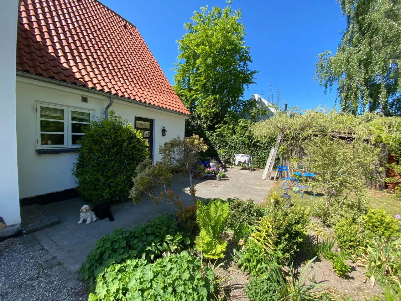 Billede 1 - Herregårdssten- gives væk - Holte