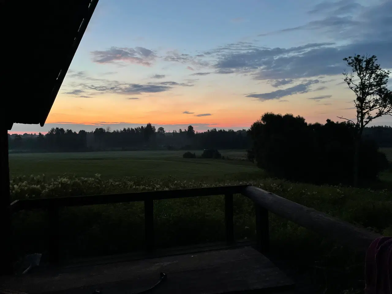 Billede 1 - Kronvildt ny slagtet