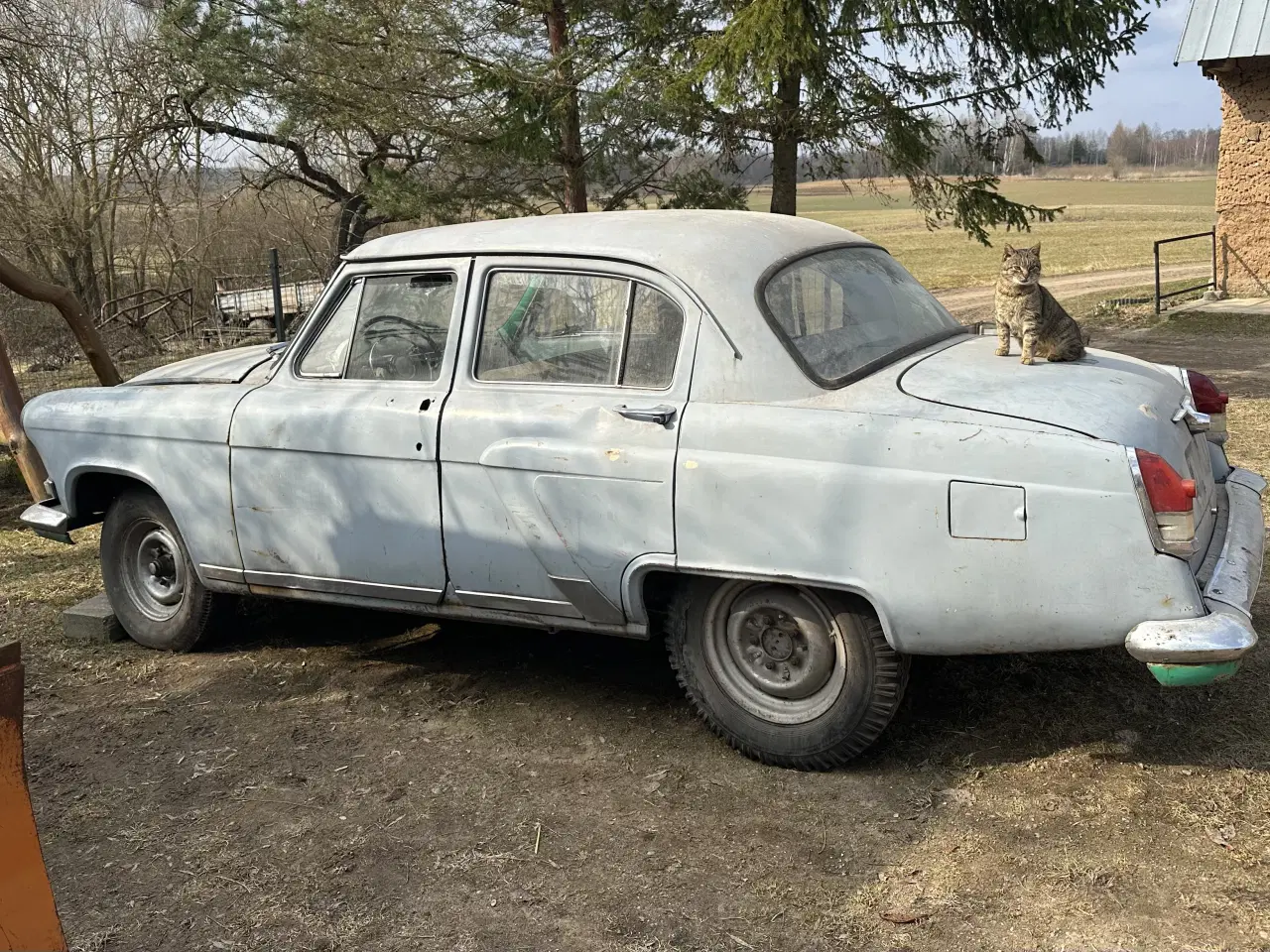 Billede 11 - Gaz 21 wolga, volga