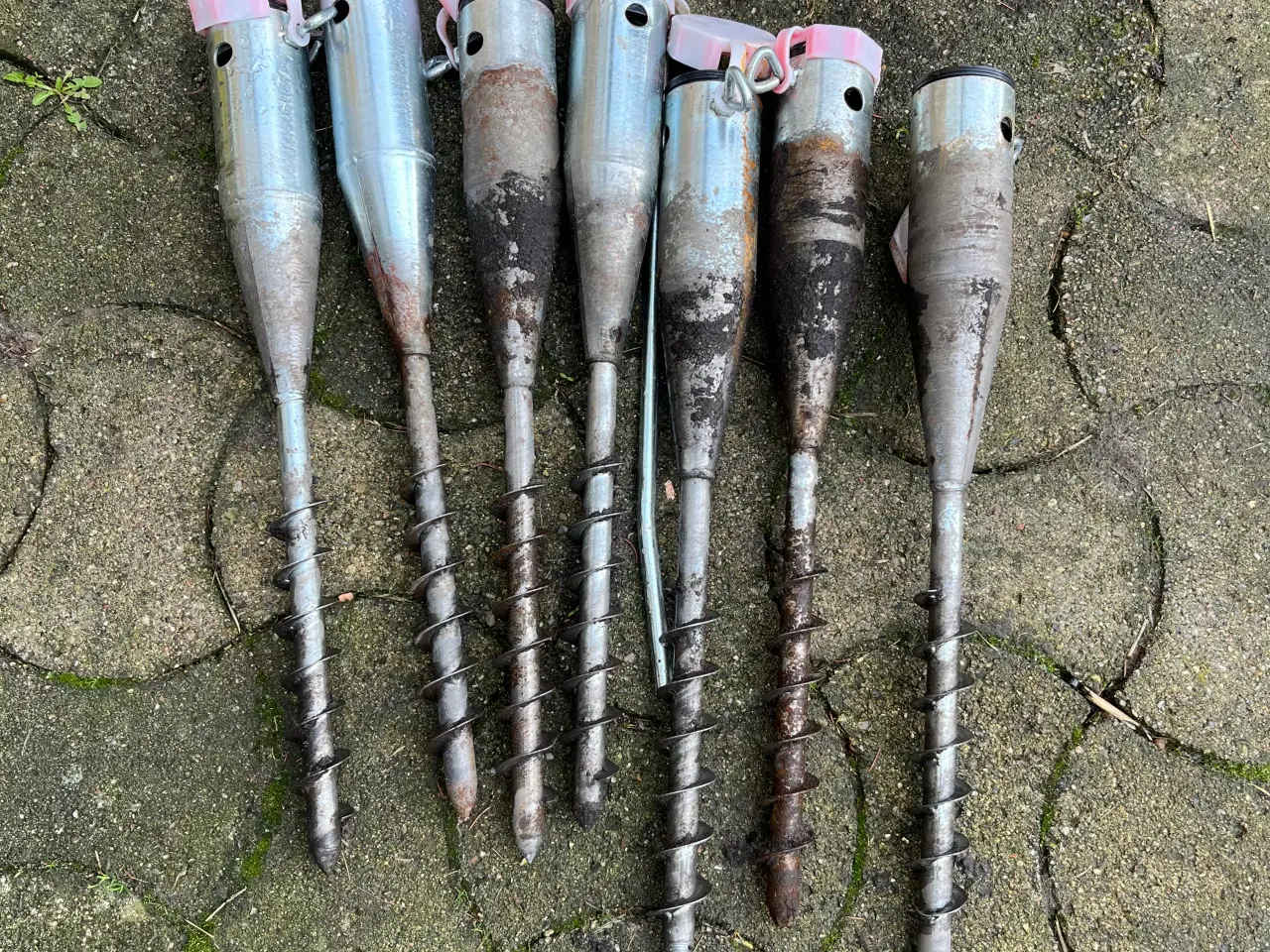 Billede 1 - Jordspyd