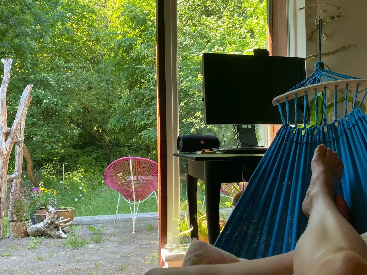 Billede 6 - Kolonihave i Enghaven havekoloni, Odense, sælges