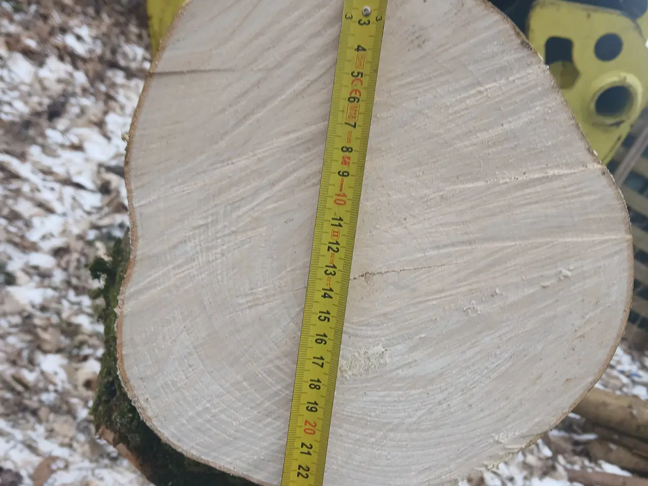 Billede 5 - Ahorntræ fældet og parteret i stamme og grene